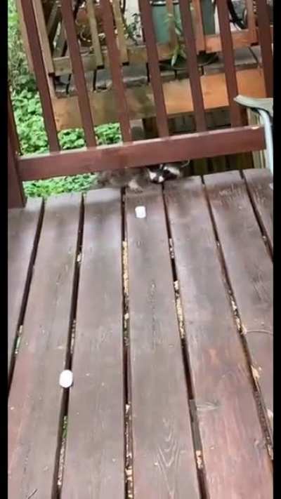 Those little hands..