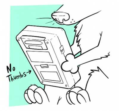 furry_irl