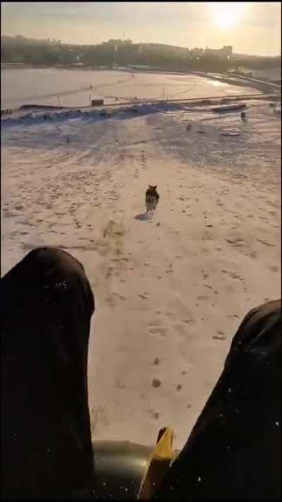На перегонки