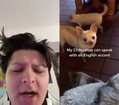 hola