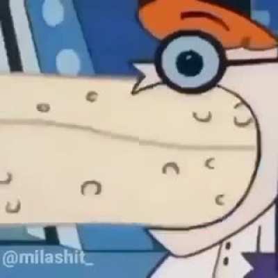 Calma adimir isso e um burrito🌯🌯🌯