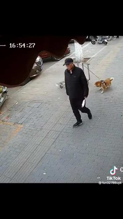 Blursed_dog
