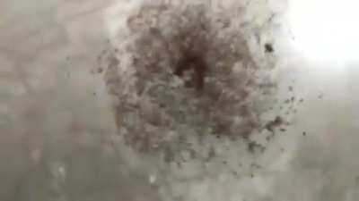 Ant mill