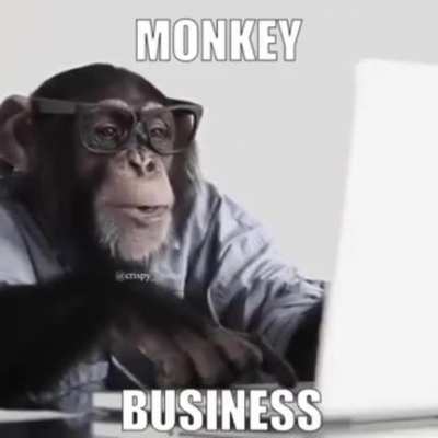 Monkey Business