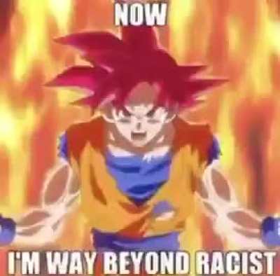 no goku que hiciste