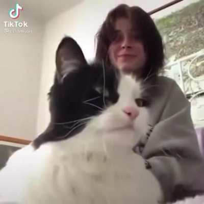 My God, it's so cute