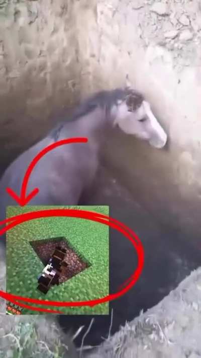 é real