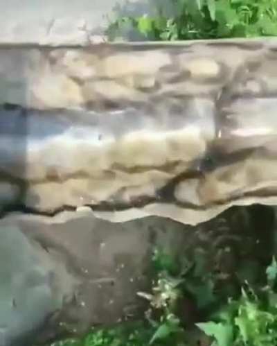 Começou.... MONKAW
