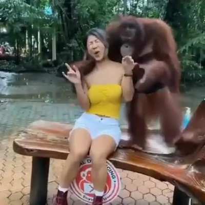 We should return to monke🦧 (Dont know if posted here before)