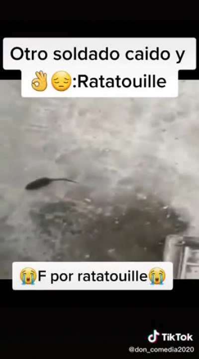 NO MI PANITA