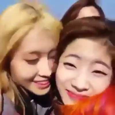 DahMo
