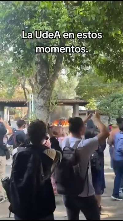 Entra a la universidad me decían, ve a estudiar y sé alguien.