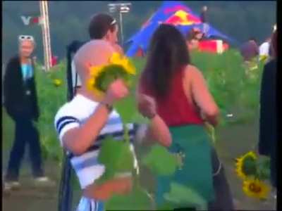 High on Sunflowers