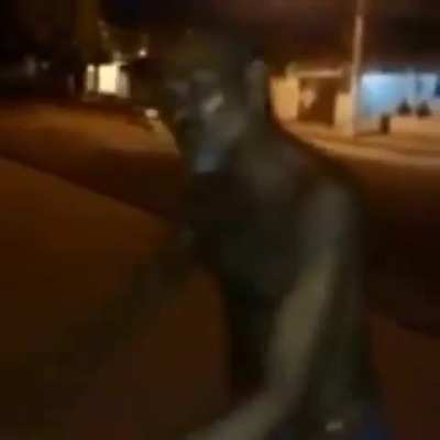 Maldito Vap Vap!