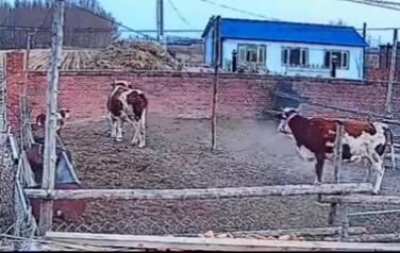 Their reaction is priceless