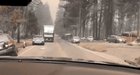 This is not Zombieland. Welcome to California baby