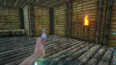 Welp, that’s enough ARK for me today