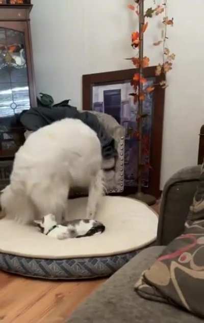 “Are you going to do something about this?” - Both