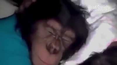 CiberMonkey
