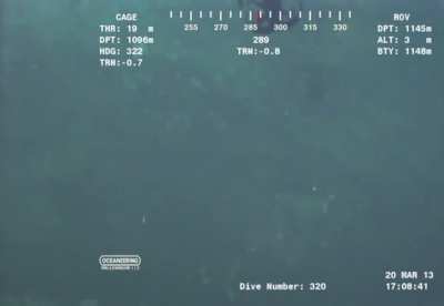 Alien-like creature shown transforming itself in the ocean, captured in the Indian Ocean off the coast of East Africa.