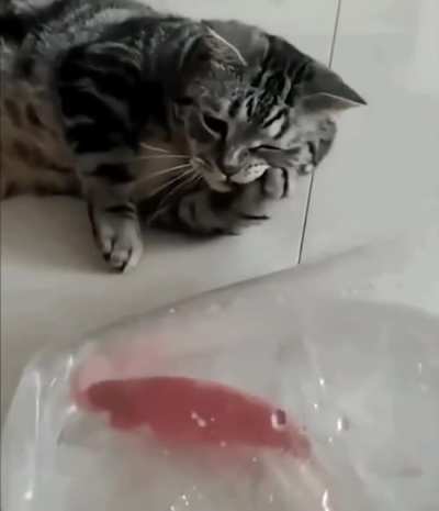 Краси<wbr>вое