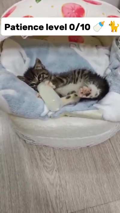 Mealtime