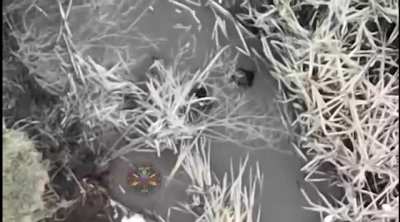 Russian soldier in a creek gets hit with a drone dropped munition
