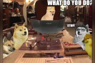 AAAAAAAAAH
