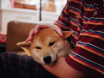 Earrrrrrrrs