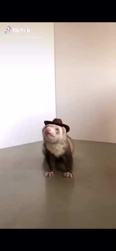 ele é um cowboy