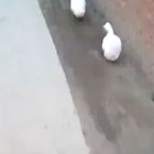 Nobody noticed, just act normal