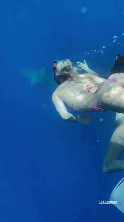 Lily Chee x Snorkeling