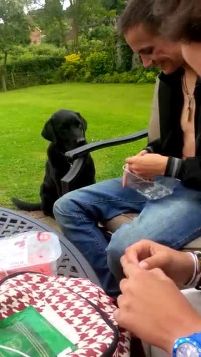 Dudes with dogs