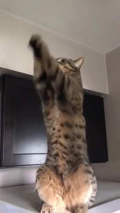 She does this for some reason