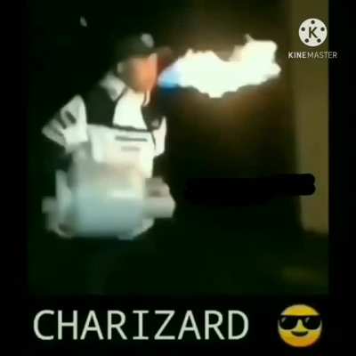 Oh my God, Charizard