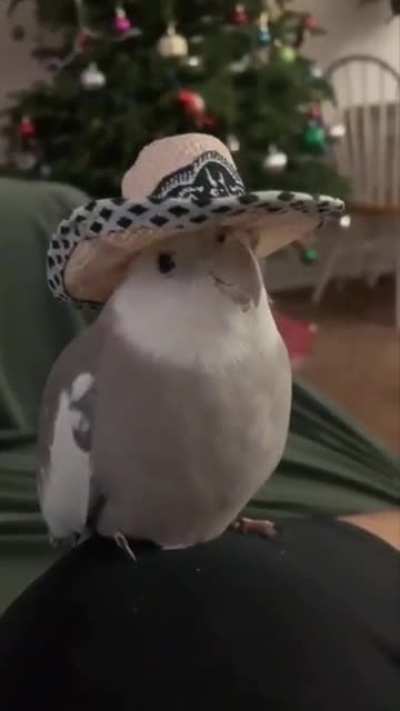 Cowbirb