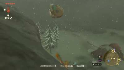 accidental korok torture.