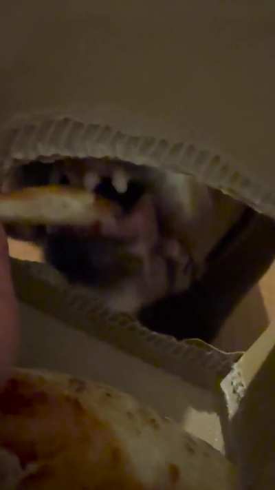 Pizza girl
