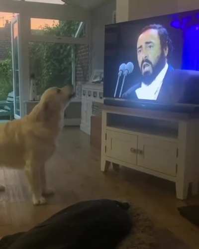 Good taste in music