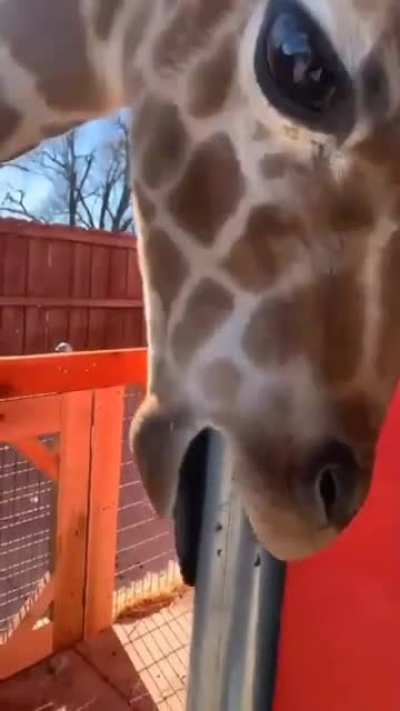 You’d have to have a big one