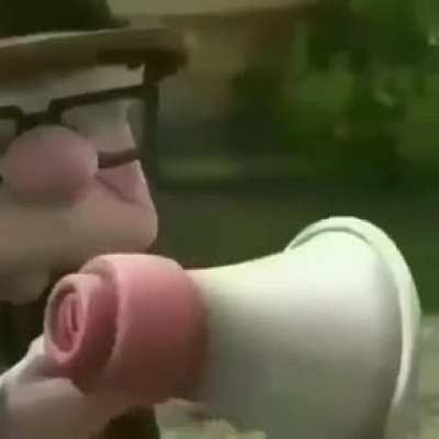 Xd