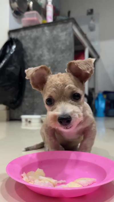 é papai💕