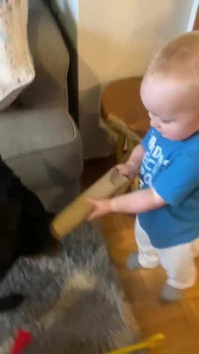 NOT MY PAPER TOWEL ROLL!
