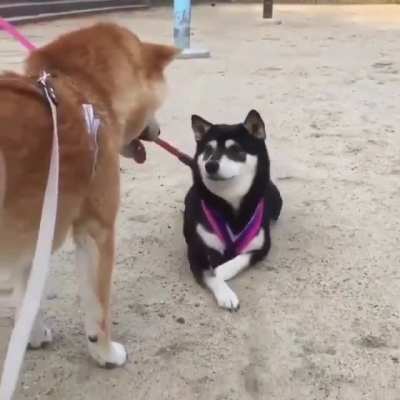 What is your name?!