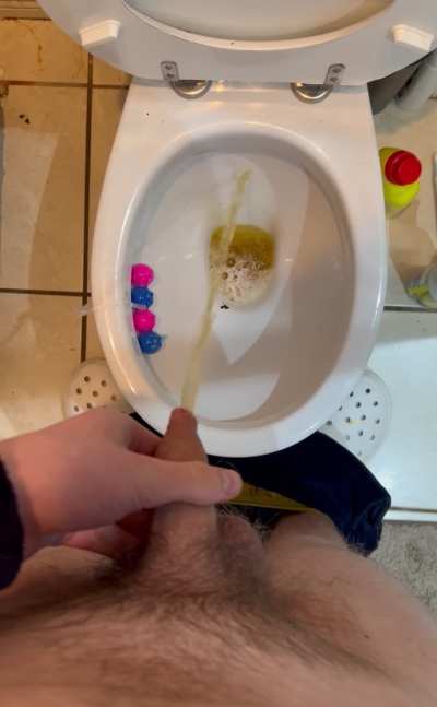 Need someone who can be my urinal on demand and vice versa (;