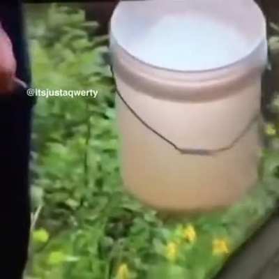 bucket