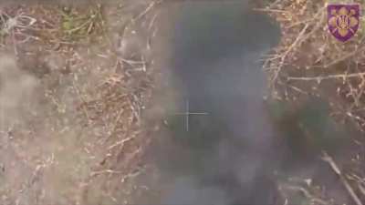 Ukrainian drones drop FOGs on Russian infantry in the Luhansk region