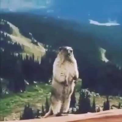 QuAlItY cOnTeNt