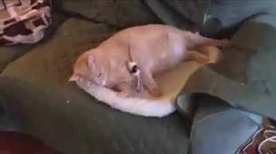 How...?