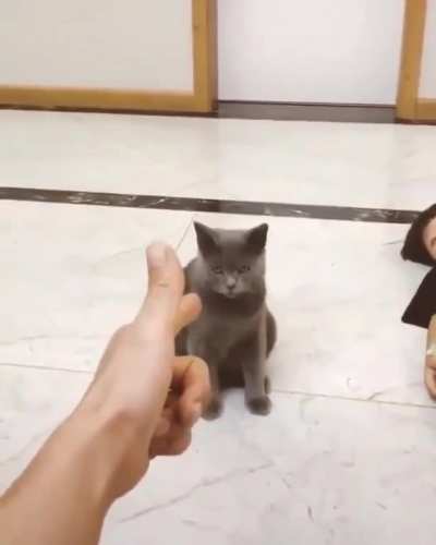 yOuNG kiTTY GetS eXcEcutED